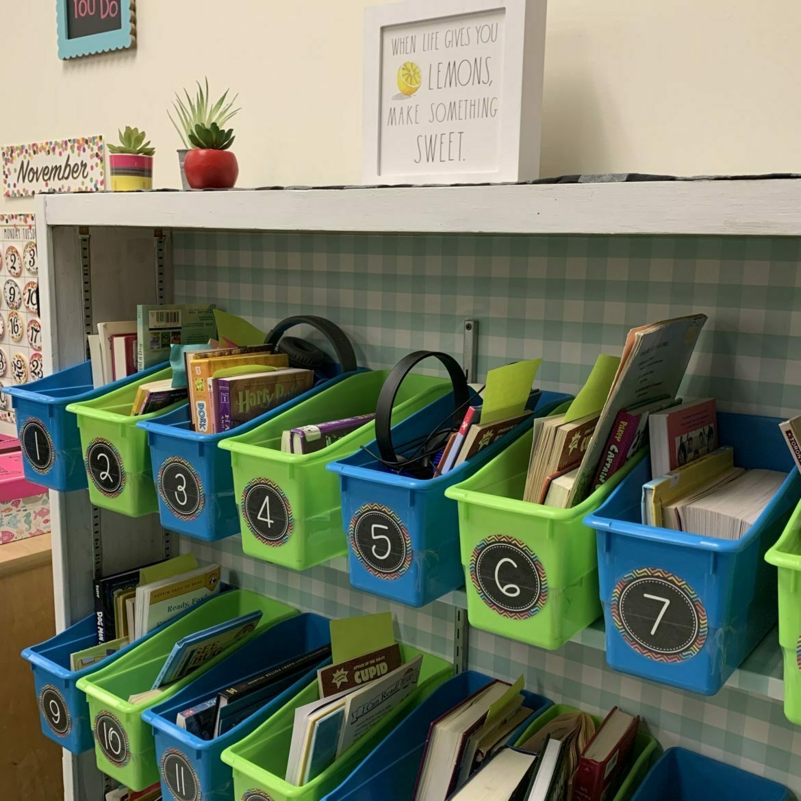 Bookshelf with blue checkered shelf liner on the shelves and numbered bins with books