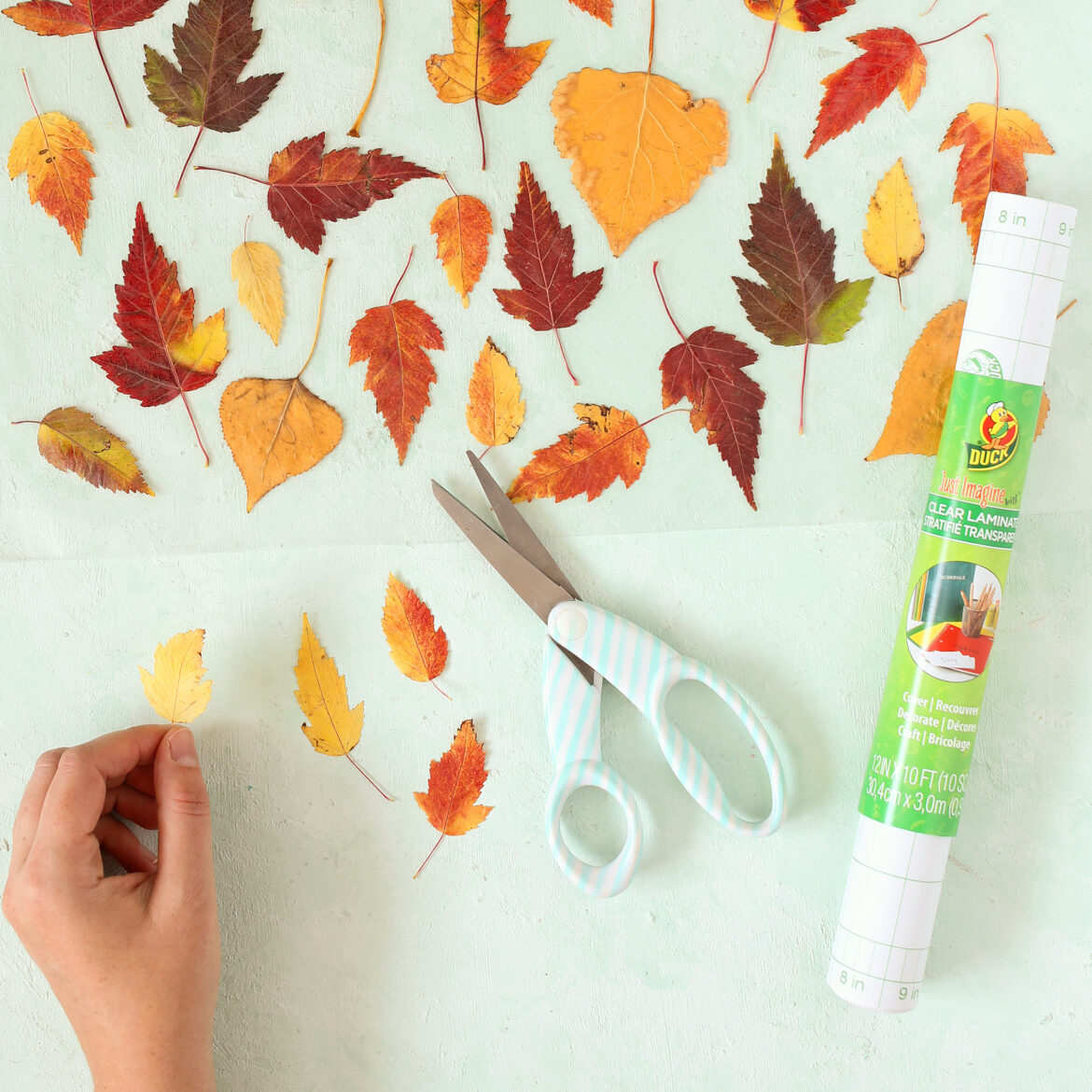 How-To: Fall Leaves Placemats