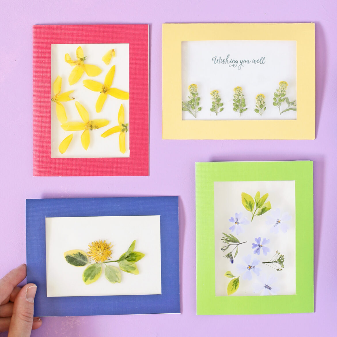 Four cards made of colorful paper and pressed flowers on clear EasyLiner.