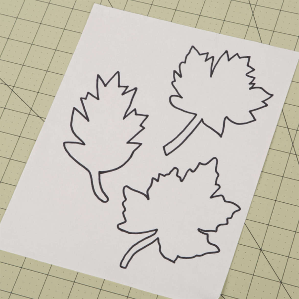 leaves drawn on a sheet of cardstock to serve as a template