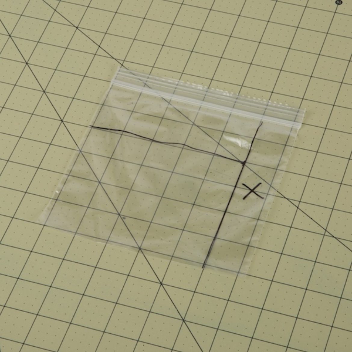 sandwich bag with three sections drawn on it
